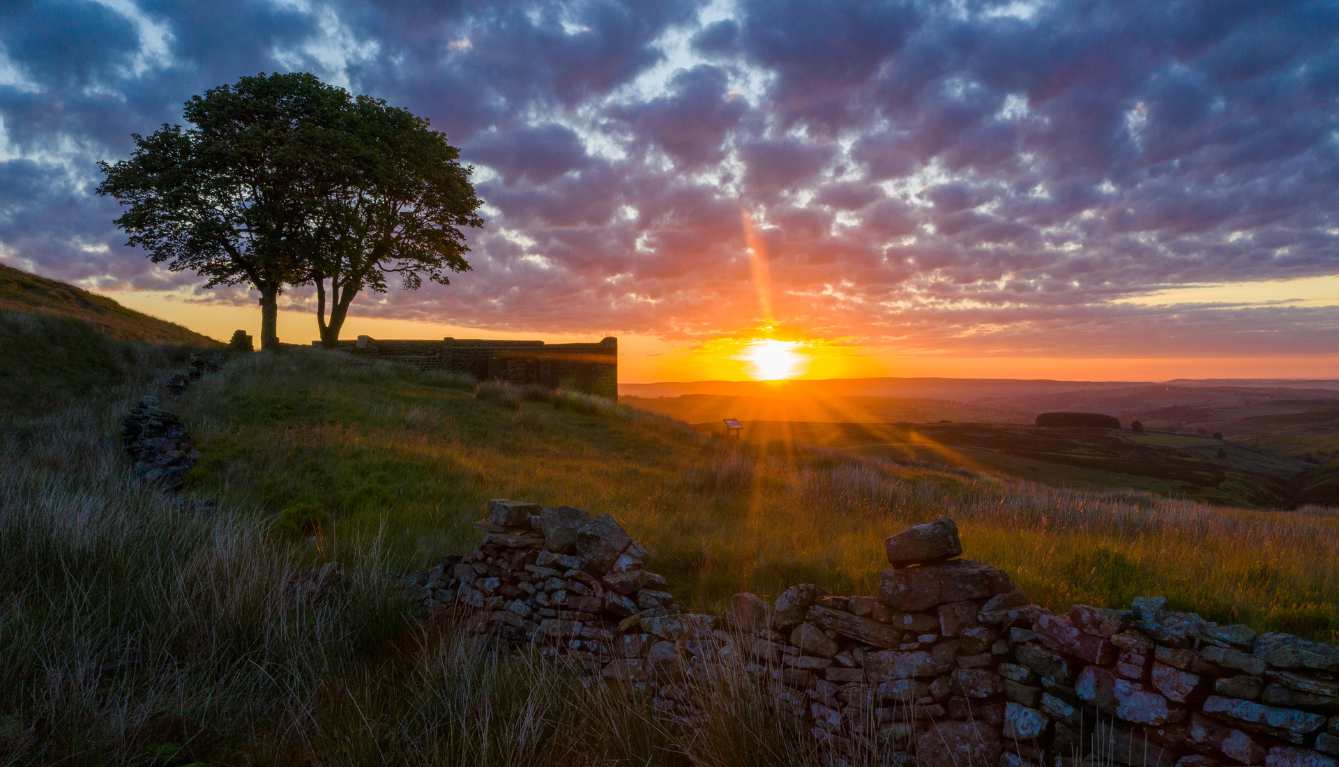 Wuthering heights Bronte Sisters